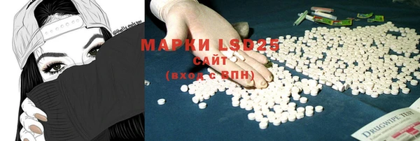 шишки Богородицк