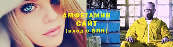 молекула духа Богородск