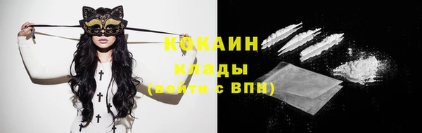 шишки Богородицк
