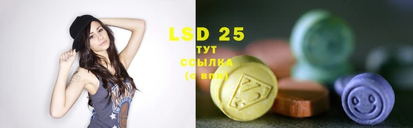 шишки Богородицк