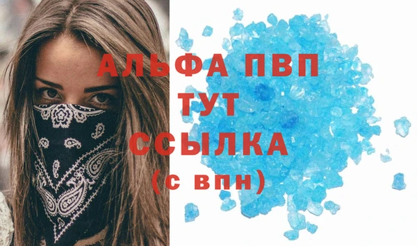 стафф Белокуриха