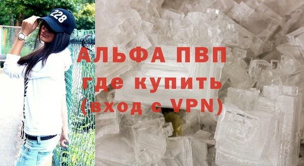 шишки Богородицк