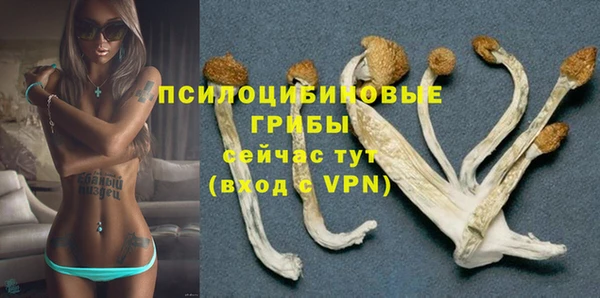 дурь Беломорск